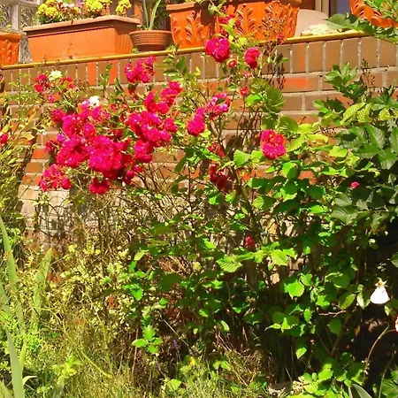 شقة In Altengroden Mit Garten